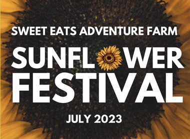 2023 Central Texas Sunflower Festival