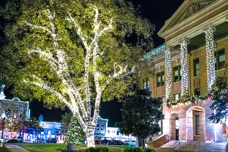 The Annual Lighting Of The Square Visit