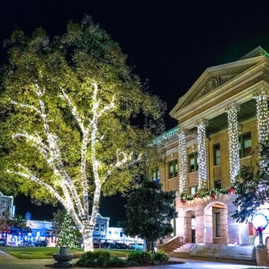 courthouse and lights