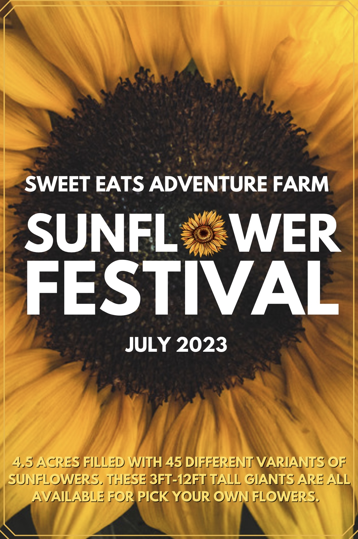 sweet eats sunflower festival